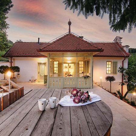 Vila Vilma Vineyard Cottage เลนดาวา ภายนอก รูปภาพ
